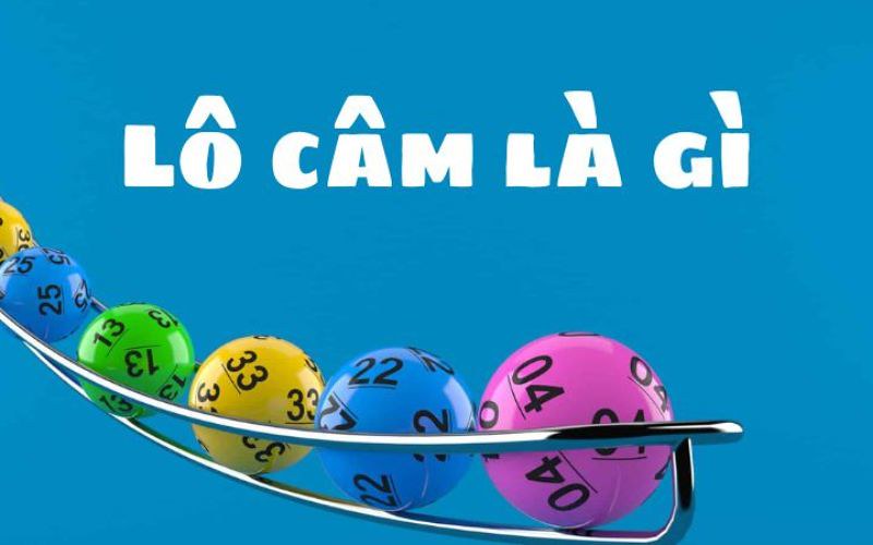 lo cam